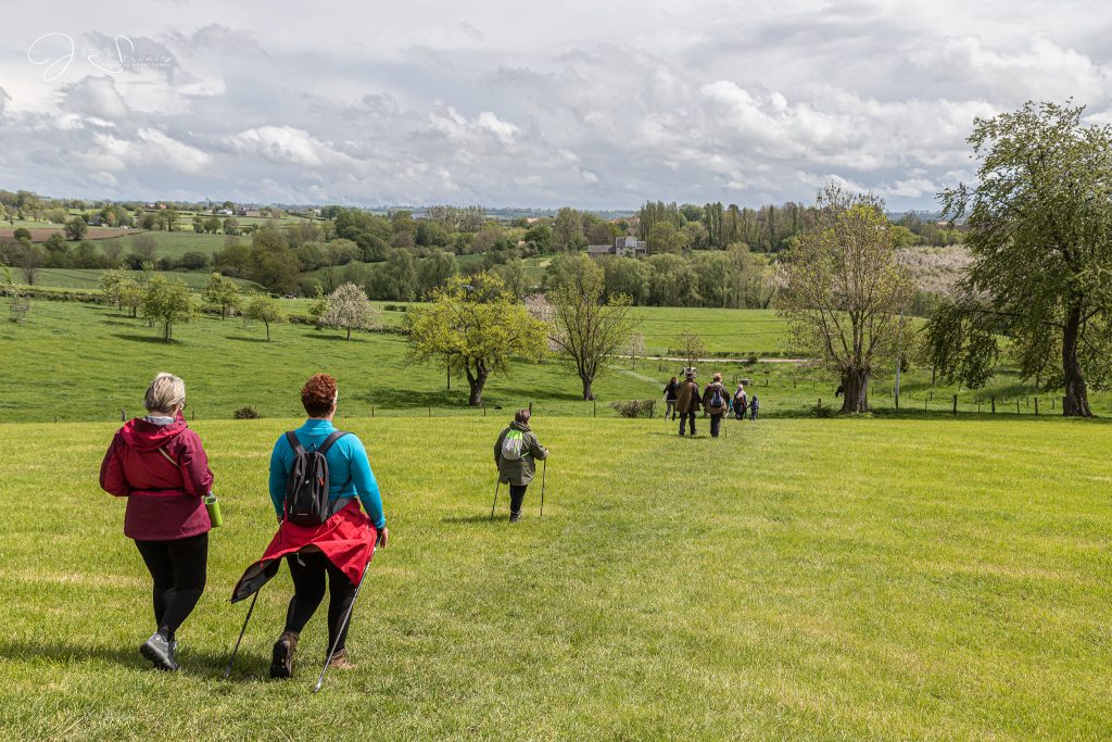 Nature et rando&nbsp;:: Balades nature guidées - bocages du pays d'Aubel